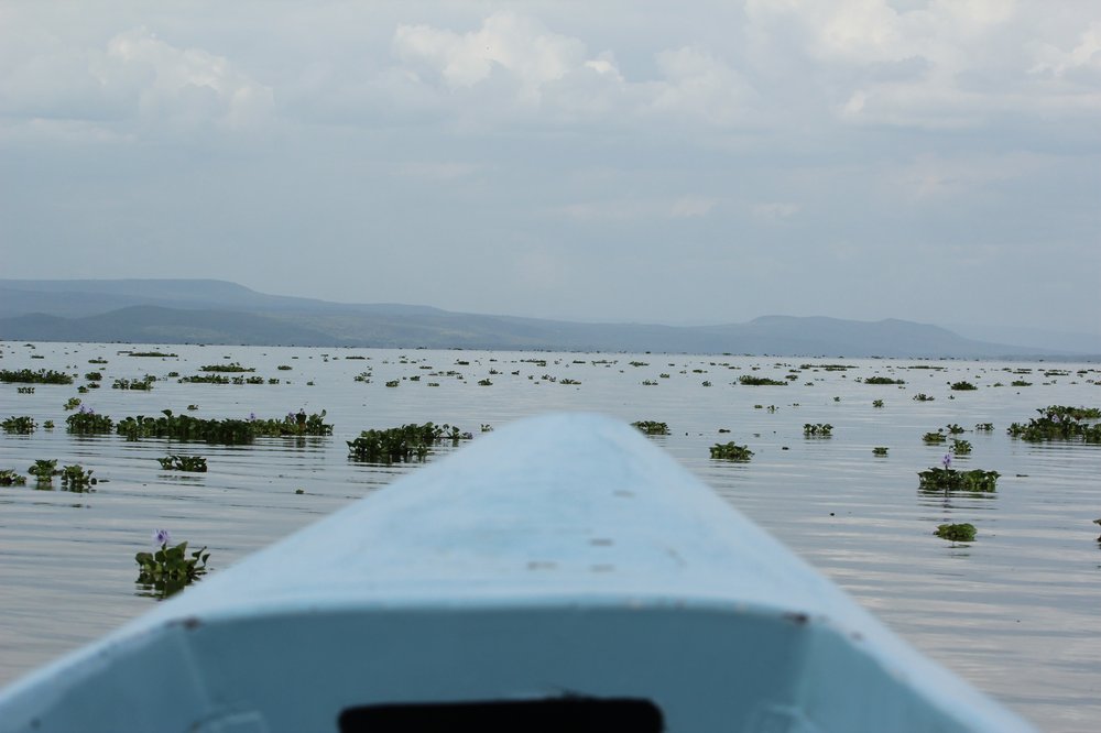 Lake Naivasha Boat Safari